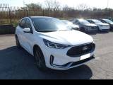FORD Kuga ST-Line X 2.5 Plug In Aut. 2WD 243CV Tetto Apribil