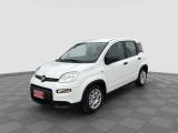 FIAT Panda Panda 1.0 FireFly S&S Hybrid