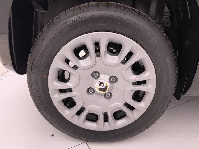 FIAT PANDA 1.0 FIREFLY HYBRID S&S 70CV - foto 23