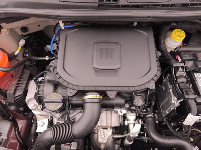 FIAT PANDA 1.0 FIREFLY HYBRID S&S 70CV - foto 27
