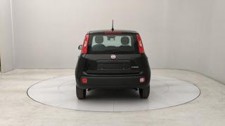 FIAT Panda usata, con Airbag Passeggero