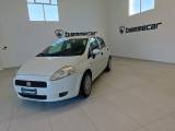 FIAT Punto 1.2 8V 5 porte Lounge