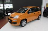 FIAT Panda 1.0 FireFly 70cv S&S Hybrid