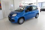 FIAT Panda 1.0 FireFly S&S Hybrid Pop KM ZERO