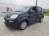 FIAT Panda 1.0 FireFly S&S Hybrid Pandina