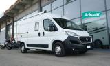 FIAT  DUCATO