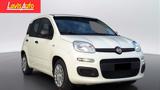 FIAT Panda 1.0 FireFly S&S Hybrid Icon