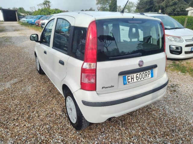 FIAT PANDA 1.2 ACTIVE - foto 6