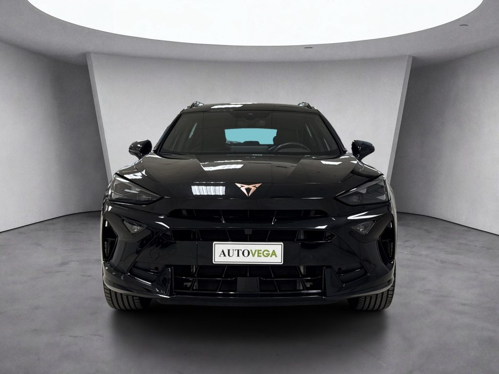 immagine usato CUPRA Formentor 2.0 tdi 150cv dsg