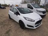 FORD Fiesta 1.0 EcoBoost 100CV 5 porte Black & White Edition