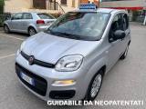 FIAT Panda 1.2 Easy 69CV E6 ***OK NEOPATENTATI***