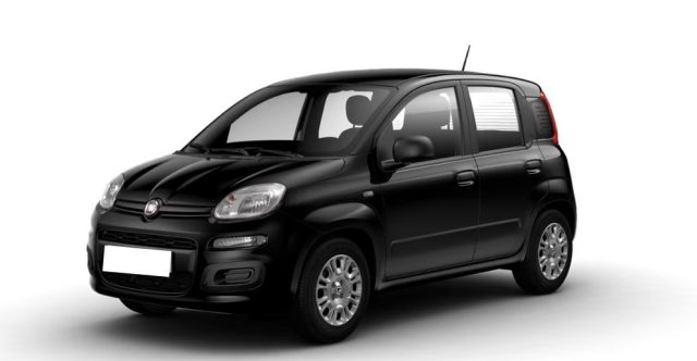 fiat panda 1.0 usata