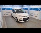 FIAT Panda 1.0 firefly hybrid Icon s&s 70cv 5p.ti