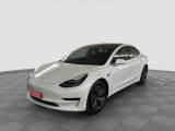 TESLA Model 3 Model 3 Standard RWD Plus