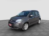 FIAT Panda Panda 1.0 FireFly Hybrid City Life