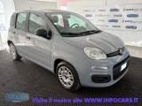 FIAT Panda 1.0 Hybrid 70 CV - NEOPATENTATI - PROMO