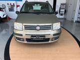 FIAT Panda 1.2 Dynamic GPL