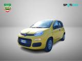 FIAT Panda 1.0 FireFly S&S Hybrid Pop