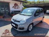 FIAT Panda 1.0 FireFly S&S Hybrid Easy  PREZZO REALE!
