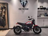 DUCATI Scrambler 800 ICON