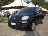 VENDO Auto a Masserano – foto 1
