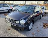 VOLKSWAGEN Polo 1.2 12V 5p. Comfortline