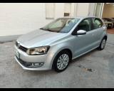 VOLKSWAGEN Polo 1.6 TDI DPF 5 porte Comfortline