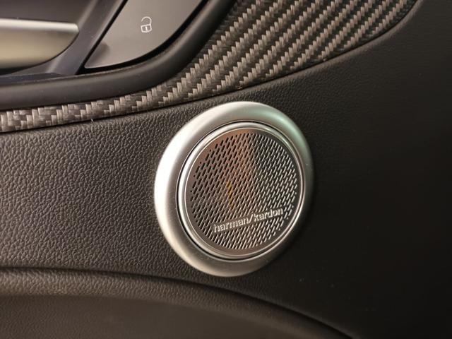 ALFA ROMEO STELVIO QUADRIFOGLIO AKRAPOVIC-SEDILI SP - foto 50
