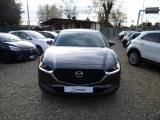 MAZDA CX-30 2.0L Skyactiv-G M Hybrid 2WD Executive apperance