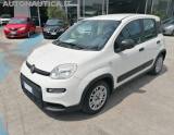 FIAT Panda 1.0 FIREFLY S&S HYBRID 70cv CITY LIFE