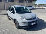 FIAT Panda 1.0 FireFly Hybrid City Life Euro 6D Prezzo Vero
