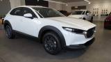 MAZDA CX-30 2025 140cv M-Hybrid Prime Line MT