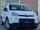 FIAT Panda 1.0 FireFly S&S Hybrid - AZIENDALE - NO VINCOLI