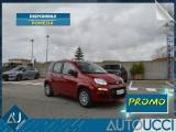 FIAT Panda 1.0 FireFly S&S Hybrid 70 Cv Icon KM Zero