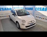 FIAT 500 1.0 hybrid 70cv Cult