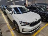 SKODA Kodiaq 2.0 TDI DSG 7 posti Executive