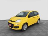 FIAT Panda Panda 1.0 FireFly S&S Hybrid