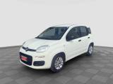FIAT Panda Panda 1.2 EasyPower Easy