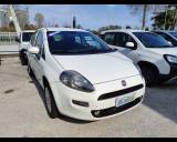 FIAT Punto 1.4 8V 5 porte Natural Power Lounge