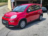 FIAT Panda 1.0 FireFly Hybrid - TAGLIANDATA Unicoproprietario