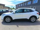 FORD Kuga 1.5 EcoBlue 120 CV aut. 2WD Titanium Business