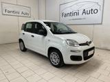 FIAT Panda Easy 1.2 Gpl 69cv-Ok Neopatentati-LEGGI SOTTO