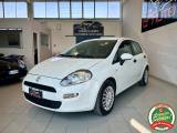 FIAT Punto 1.2 8V 5p. Pop *NEOPATENTATI*