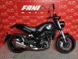 BENELLI Leoncino 500 -