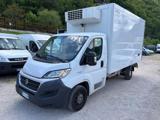 FIAT SOLO COMMERCIANTI(capacità 8 bancali)  DUCATO