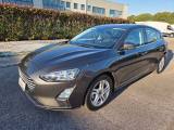 FORD Focus 1.5 EcoBlue 120 CV 5p. Business