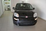 FIAT Pandina 1.0 FireFly 65 CV Hybrid Icon