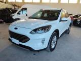 FORD Kuga 1.5 EcoBlue 120 CV aut. 2WD Titanium Business