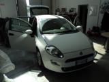 FIAT Punto 1.3 MJT II 75 CV 5 porte Young