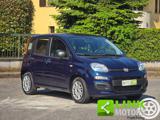 FIAT Panda 1.0 FireFly S&S Hybrid 69cv